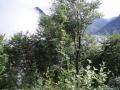 components/com_mambospgm/spgm/gal/Laeufe 2007 T2/Traunsee BM 07/_thb_P7070007.JPG